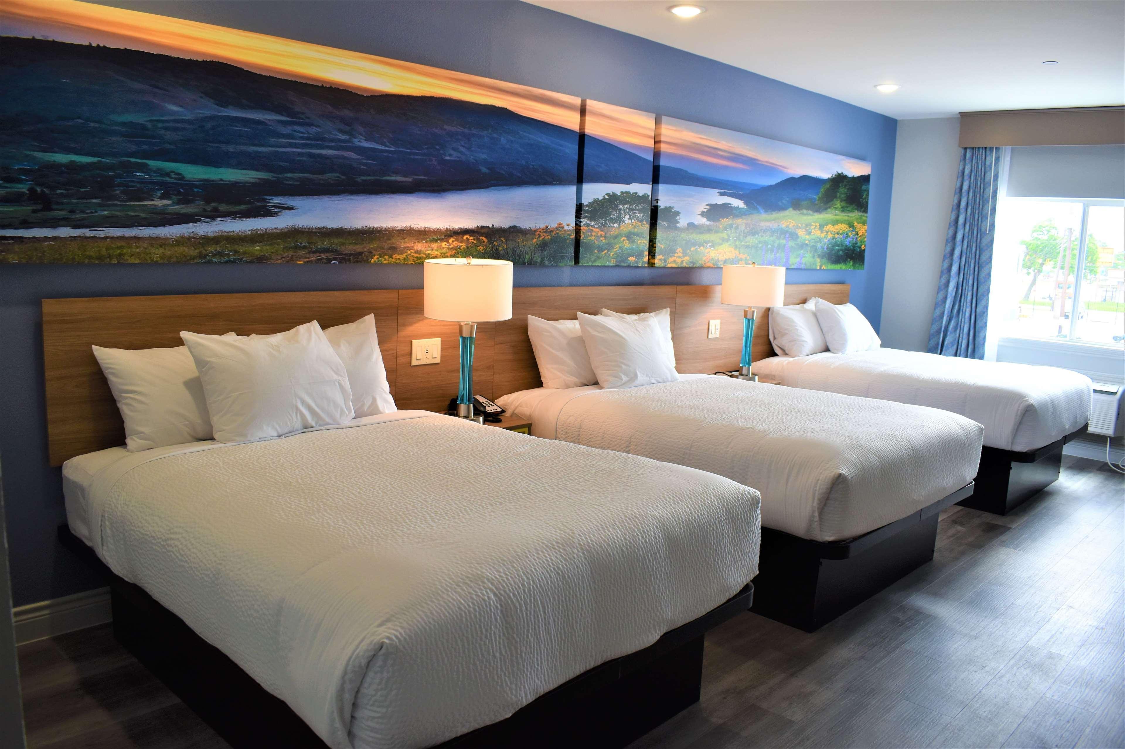 Days Inn & Suites By Wyndham Downtown/University Of هيوستن المظهر الخارجي الصورة
