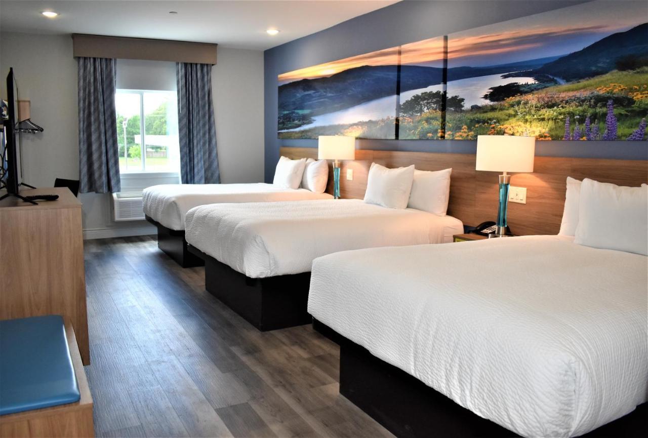 Days Inn & Suites By Wyndham Downtown/University Of هيوستن المظهر الخارجي الصورة